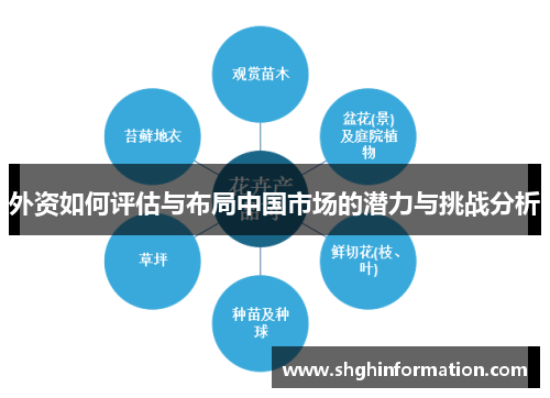 外资如何评估与布局中国市场的潜力与挑战分析 外资如何评估与布局中国市场的潜力与挑战分析
